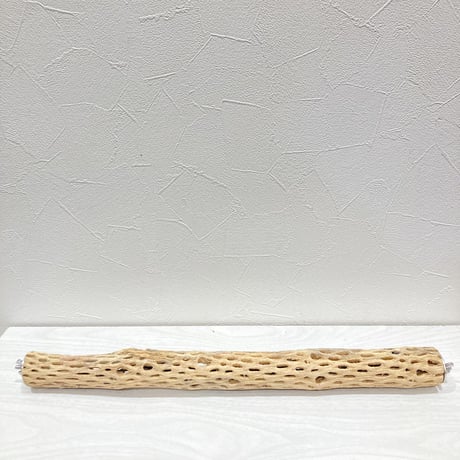 ケージサイズカクタスパーチ③ 小サイズ直径3-4cm HOEI465サイズ