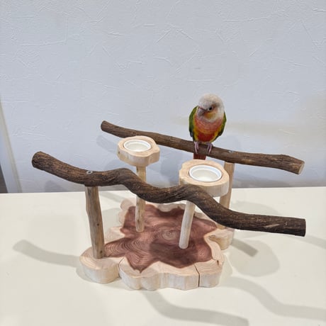 ツタと貝塚伊吹のおやつれつきスタンドパーチ【インコのおもちゃ・ブランコ・自然木のとまり木】バードアスレチック