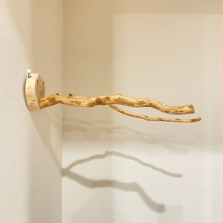 ピノキオの鼻 ⑧