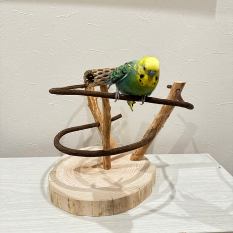ツタのぐるりんバードアスレチック ①【インコのおもちゃ・自然木のとまり木】