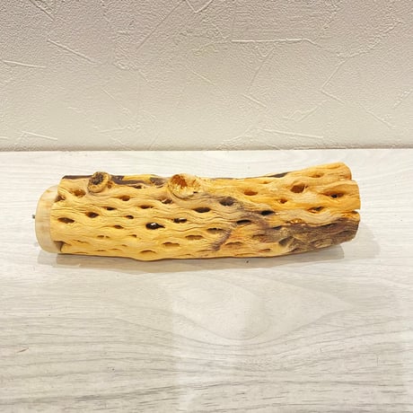 カクタスパーチ【24】直径4~5cm/長さ17cm