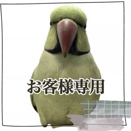 自然木の鳥用品 鳥豆堂【トリマメドウ】
