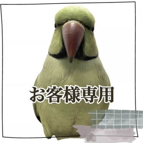 【kozakurako310様専用】ぬくぬくお座布団  60w/100w