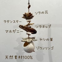 ただいま休止中です【オーダー方法】ケージサイズカクタスパーチ