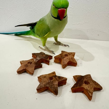 ガジガジココナッツ お星さま 5個セット【インコのおもちゃ】