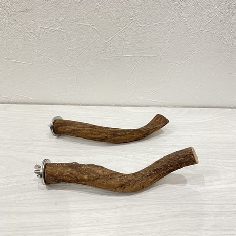 自然木（ツタ）パーチ2本セット⑤ 直径2cm 長さ17.5cm