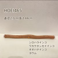 自然木（ツタ）のケージサイズパーチ ⑥ HOEI465サイズ 直径約2.7cm  【シロハラインコ・ヨウム】とまり木 バンブルフット