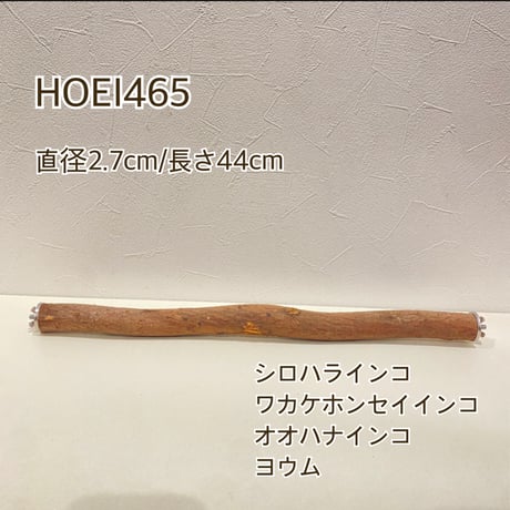 CATEGORY 自然木パーチ | 自然木の鳥用品 鳥豆堂【トリマメドウ