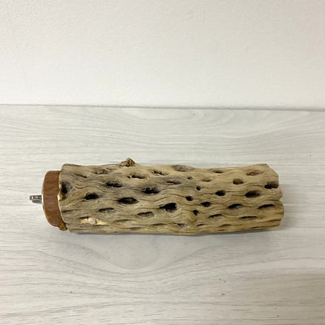 カクタスパーチ 中サイズ⑥ 直径（約5.5cm）長さ/15cm