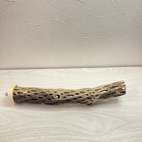 カクタスパーチ【J】  小 直径4cm前後 長さ25cm