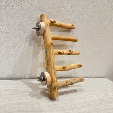 【pinooooo_28様専用】ケージサイズツタパーチ