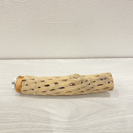 カクタスパーチ⑤ 小サイズ 直径（約3.5cm）長さ/15.5cm