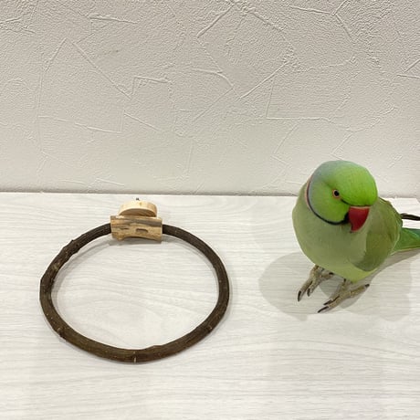 自然木（ツタ）のドーナツパーチ③
