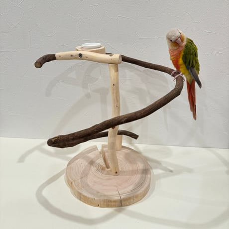ツタのぐるぐるアスレチック 【小型から中型】【インコのおもちゃ・自然木のとまり木】