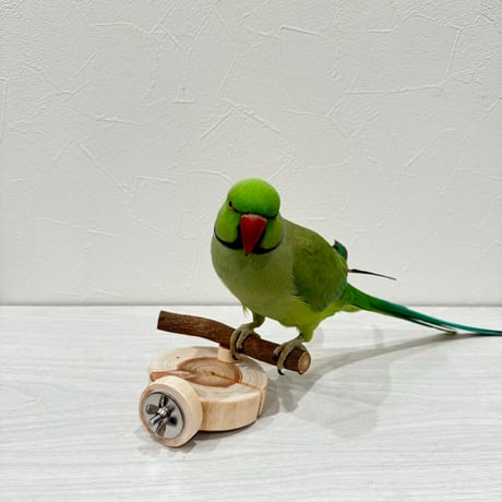 すみっこおやすみパーチ③ 丸太直径8cm