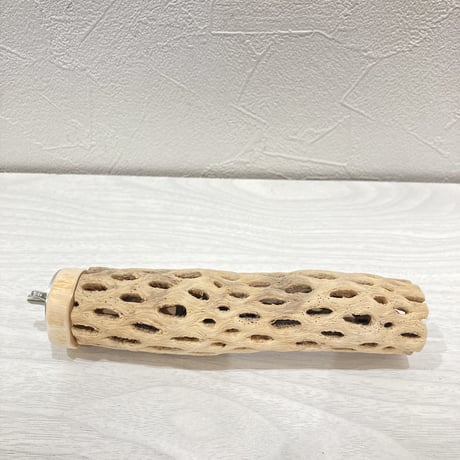 カクタスパーチ【6】小 直径約3.5cm 長さ15cm