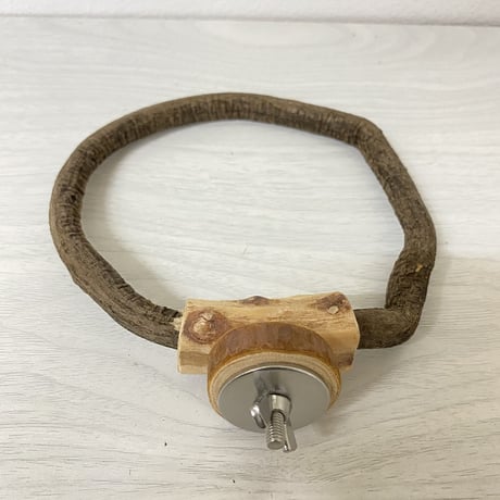自然木（ツタ）のドーナツパーチ②　パーチ直径1.2cm／円直径13cm