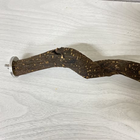 殿様パーチ（自然木ツタ）③ HOEI465サイズ  直径2cm