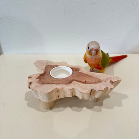 おやつ入れ付き貝塚伊吹のちゃぶだい【インコのおやつ入れ】