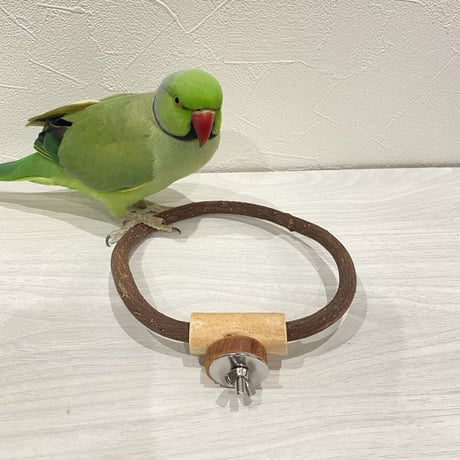 自然木（ツタ）のドーナツパーチ⑪ パーチ直径1cm／円直径15×15cm