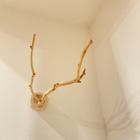 ピノキオの鼻 ①