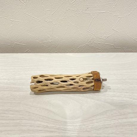 カクタスパーチ⑭ 極小直径2-3cm/10cm