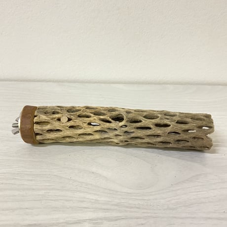 カクタスパーチ⑥ 小サイズ 直径（約3-4cm）長さ/16cm