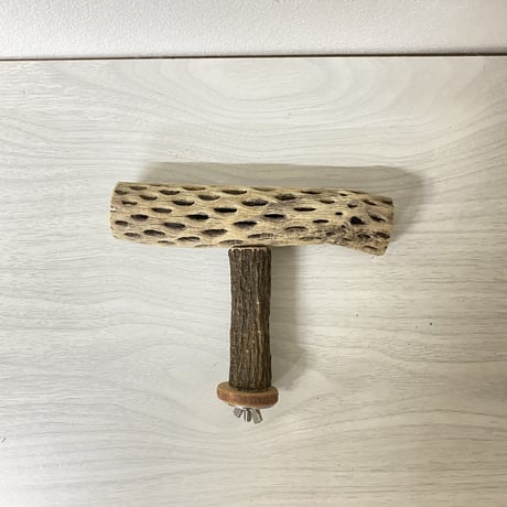 【エピ様専用】カクタスのT字パーチ  横15cm／足8cm