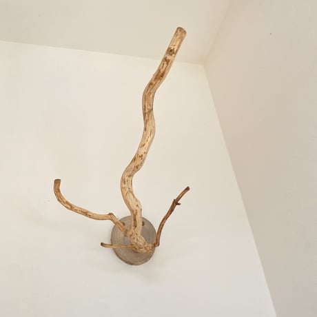 ピノキオの鼻 ⑤