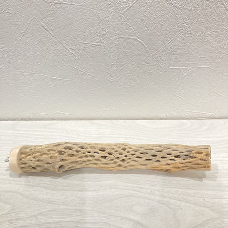 カクタスパーチ小㉗ 直径約3~4cm 長さ25cm