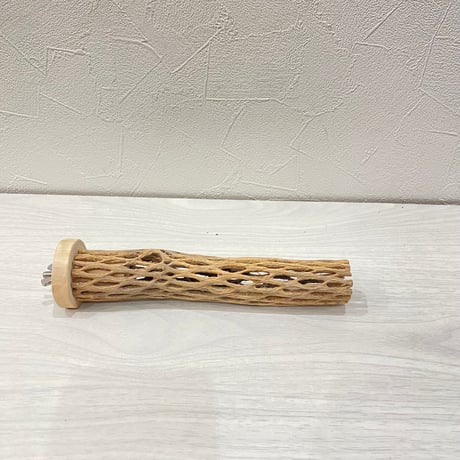 カクタスパーチ⑧小3-4㎝長さ18㎝