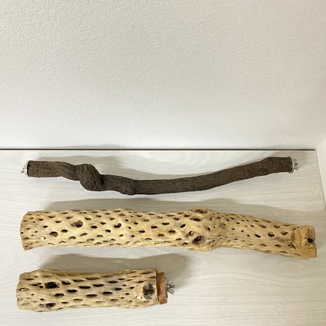 【しんちゃん様専用】カクタスパーチ 中サイズ 直径（約5.5cm）長さ/44cm 20cm