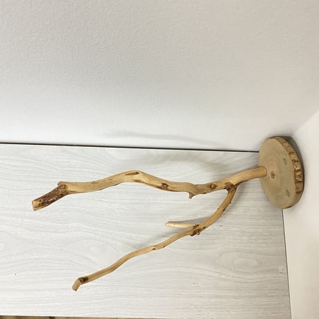 ピノキオの鼻 ③