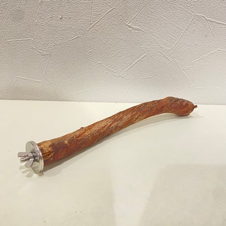 自然木（ツタ）パーチ 直径約2cm/長さ22cm