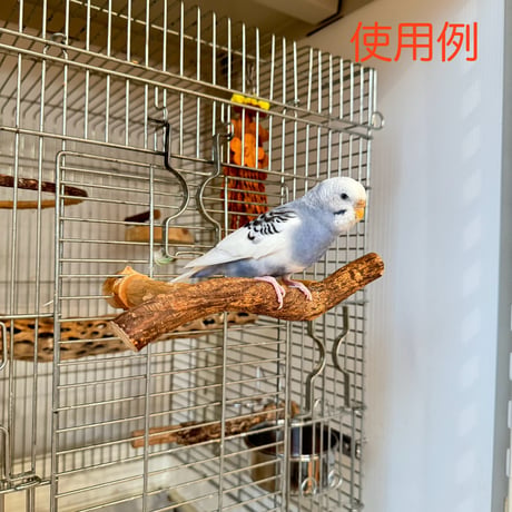 使い方いろいろ 屋上ツタパーチ【1】  横25cm 高さ10cm