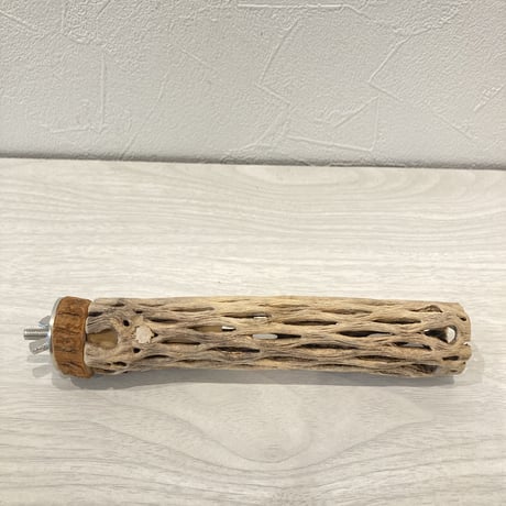 カクタスパーチ⑥  極小 直径3cm前後 長さ15cm