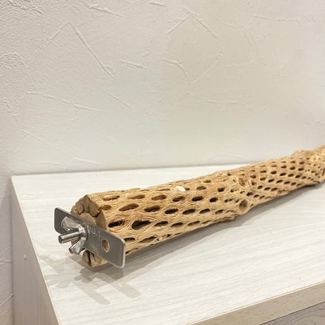 【lastlove0923様専用】カクタスパーチ小60cm 44cm