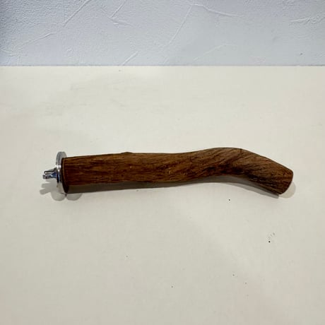 自然木（ツタ）パーチ 直径約1.9cm/長さ15.5cm