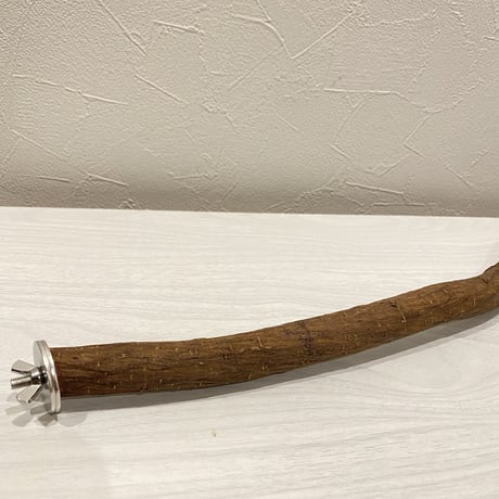 殿様パーチ（自然木ツタ）② HOEI465サイズ 直径2cm