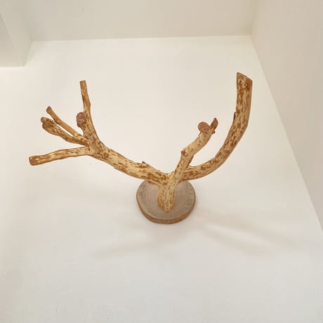 ピノキオの鼻 ④
