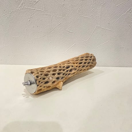 カクタスパーチ⑧  直径約4cm/長さ20cm
