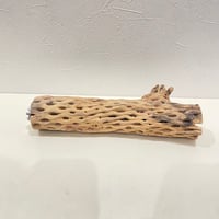カクタスパーチ(W) 直径約5.5cm/長さ25cm