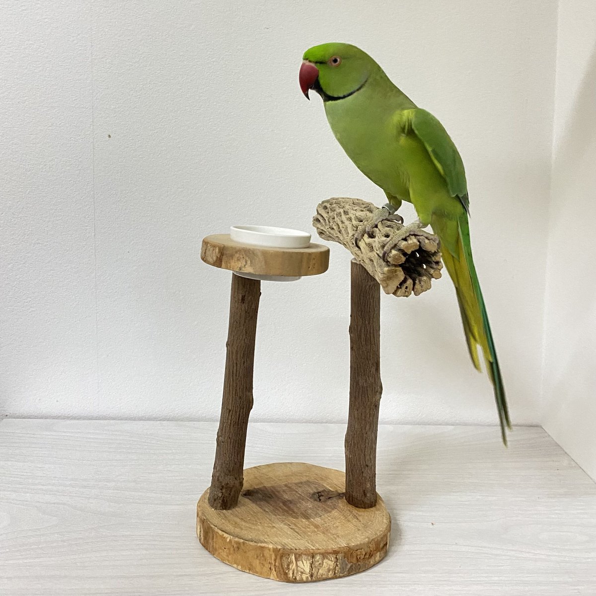 カクタスのスタンドパーチ① パーチ長さ20cm／足高さ20cm | 自然木の鳥