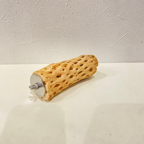 カクタスパーチ③ 直径約4.5cm/長さ12cm