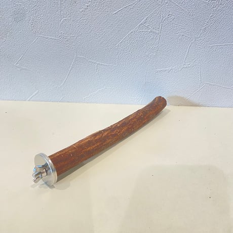 自然木（ツタ）パーチ 直径約2cm/長さ19.5cm