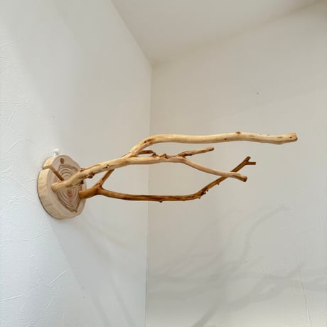 ピノキオの鼻 ⑤お鼻2本