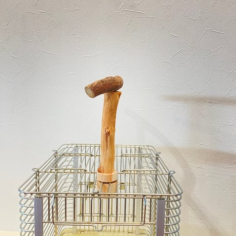 使い方いろいろ 屋上ツタパーチ　横30cm 高さ15cm