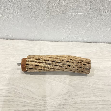 カクタスパーチ⑥  小 直径約3.5cm/15cm
