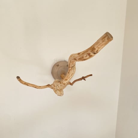 ピノキオの鼻 ⑤
