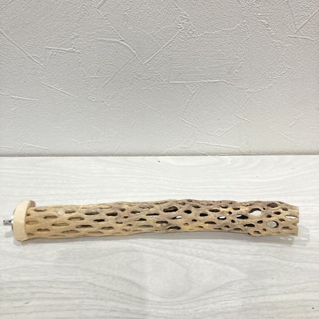 カクタスパーチ極小③　直径約2~3cm 長さ20cm